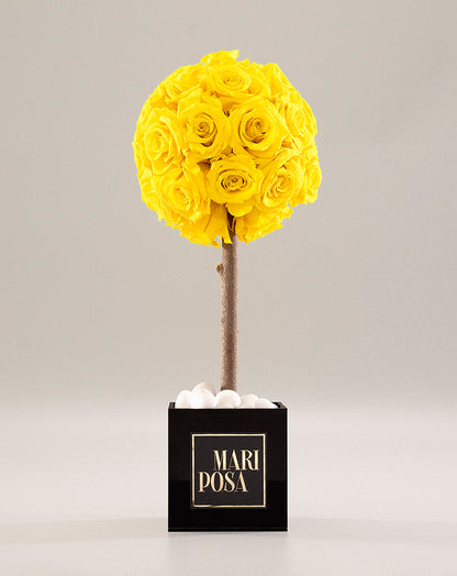 Forever Rose Tree