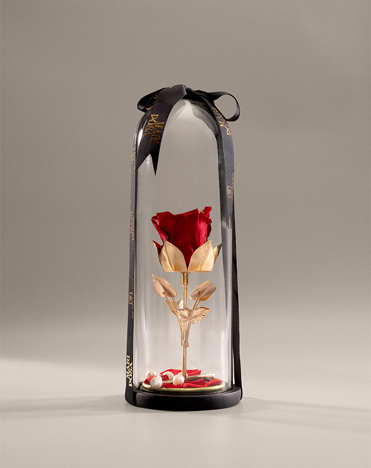 Signature Forever Rose Glass Dome