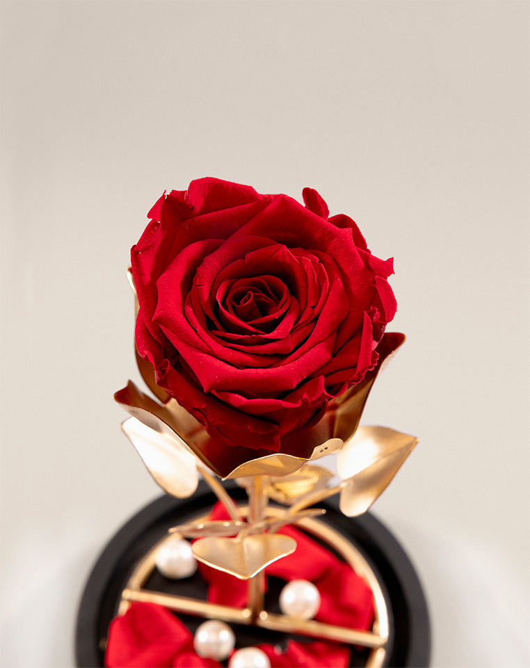 Signature Forever Rose Glass Dome