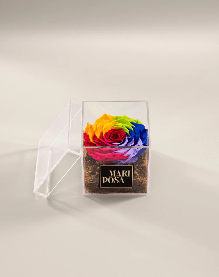 Signature Square Forever Rose Box
