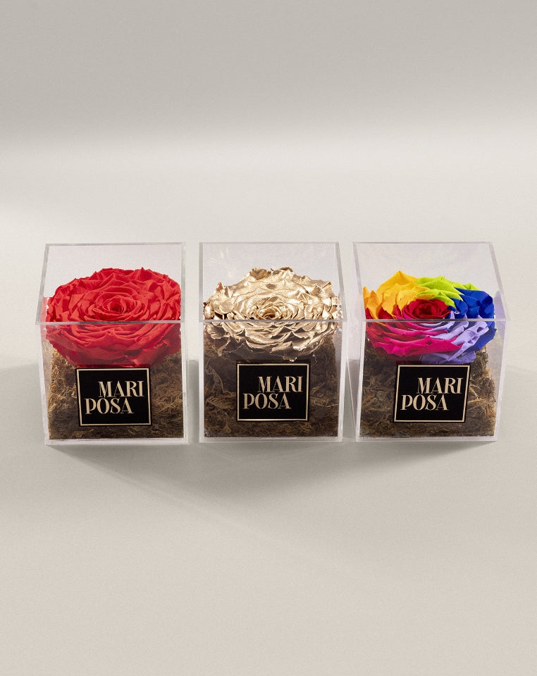Signature Square Forever Rose Box