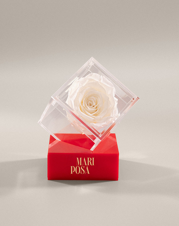 Forever Square Box