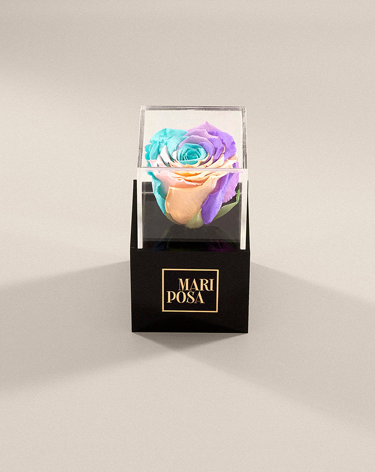 Black Forever Rose Box